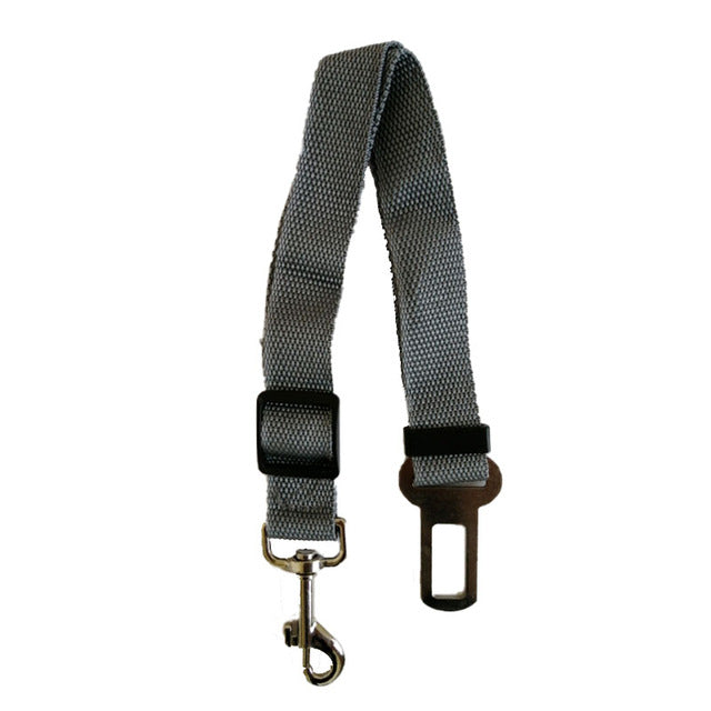 Cinto de segurança para Cães e Gatos