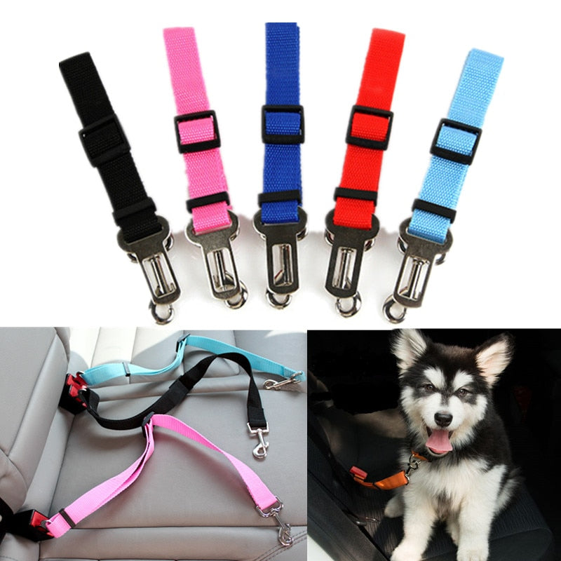 Cinto de segurança para Cães e Gatos